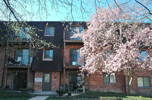 1st image of 1504 S Fairfield Ave APT 15B