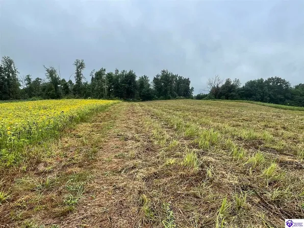 10 Castleman Rd, Hodgenville, KY 42748