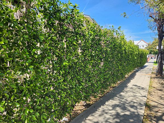 4th image of 1127 Echo Park Ave