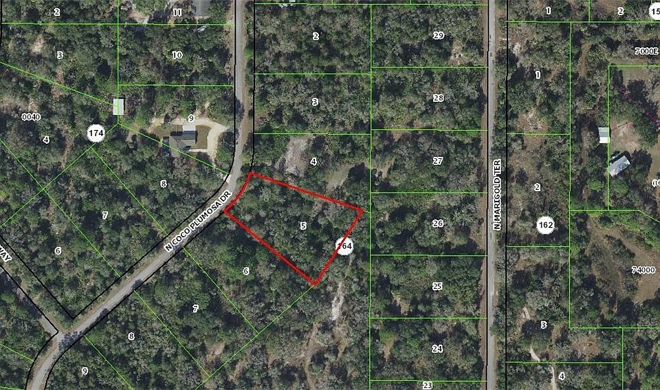 1st image of 10319 N Coco Plumosa Dr