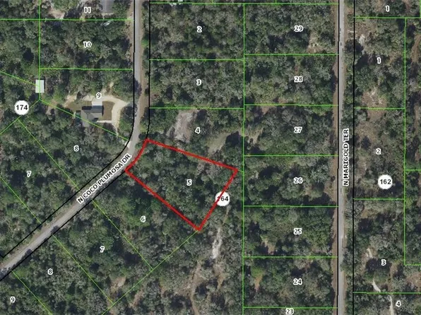 10319 N Coco Plumosa Dr, Crystal River, FL 34428