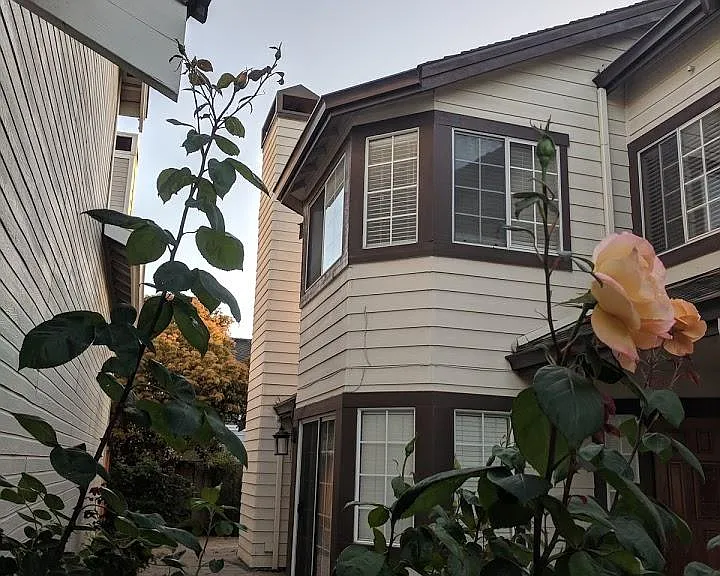 66 Springhaven Ct — Photo 5