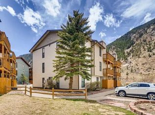 1890 Argentine St, Georgetown, CO 80444