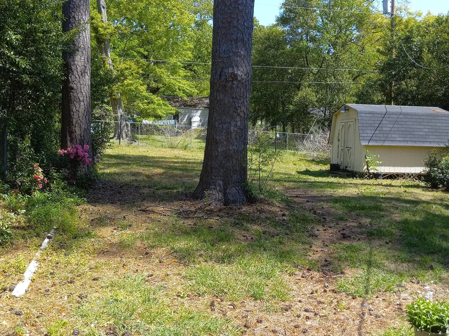 2 bed, 727 sqft, $1,500 — Photo 4