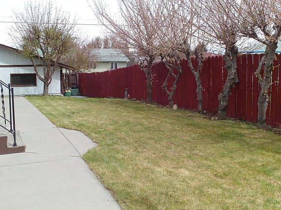 Apricot&Apple Trees