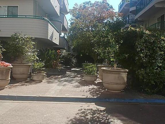 2nd image of 345 Sheridan Ave #309