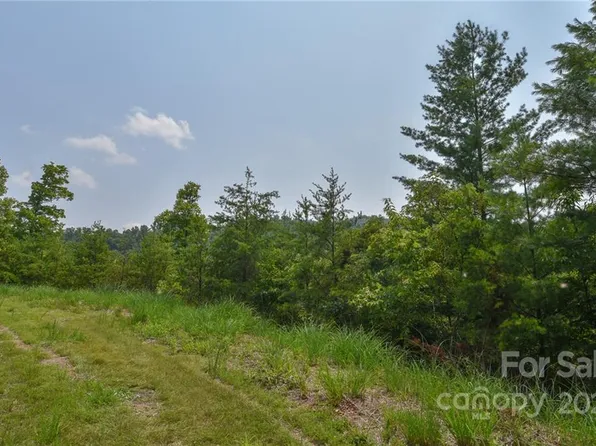 11 The Vines Blvd Lot 11, Marshall, NC 28753