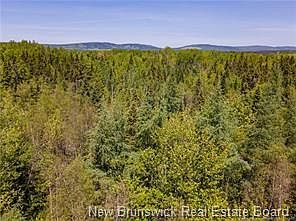 4th image of LOT Creek Rd
