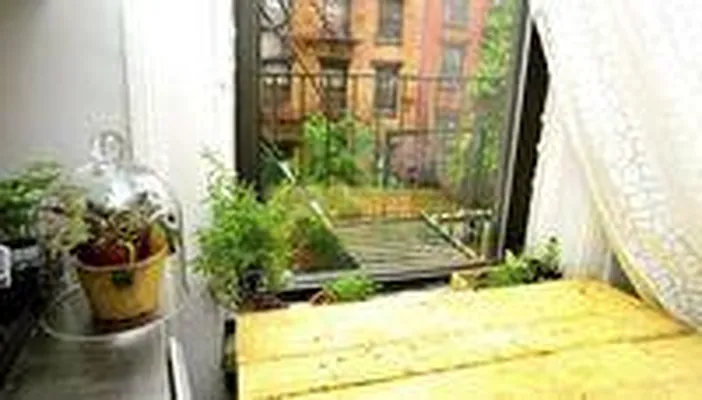 Rented by Town Residential | media 31