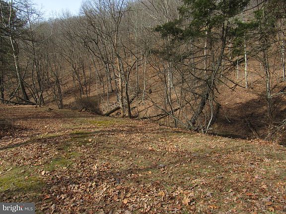 5th image of 1956 Dove Hollow Rd