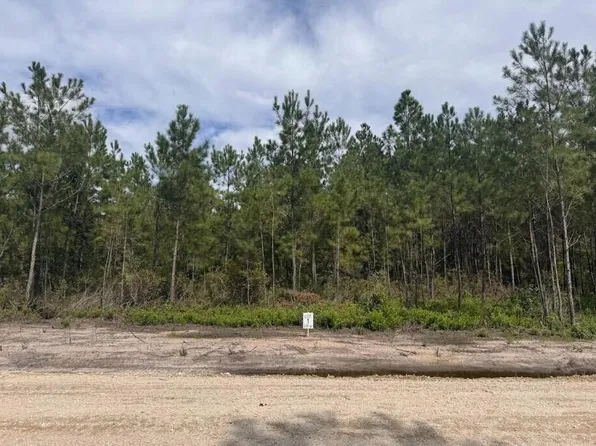 0 Walker Rd Lot 1, Ridgeville, SC 29472