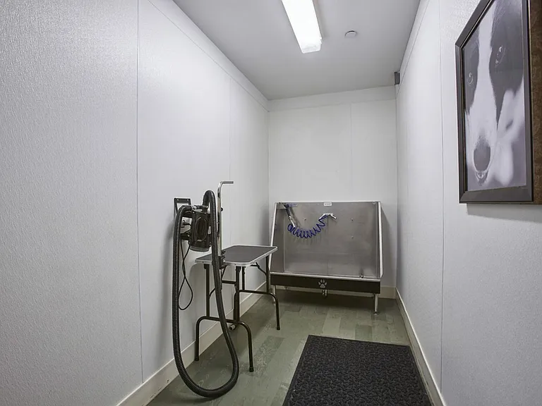Pet Grooming Station