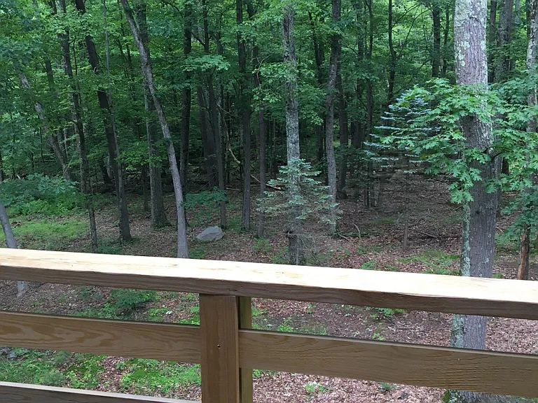 REAR YARD FROM 2nd FLOOR DECK