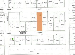 110 LINCOLN STREET LOT 6, SATSUMA, FL 32189