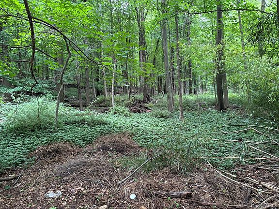 2nd image of 163 Green Lane