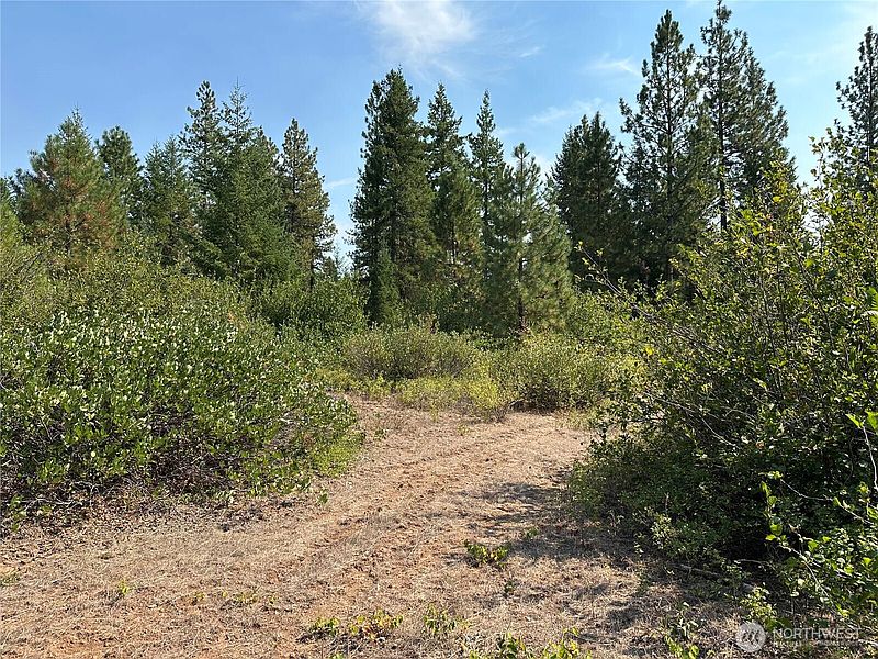 5th image of 2 Cedar Monument Road