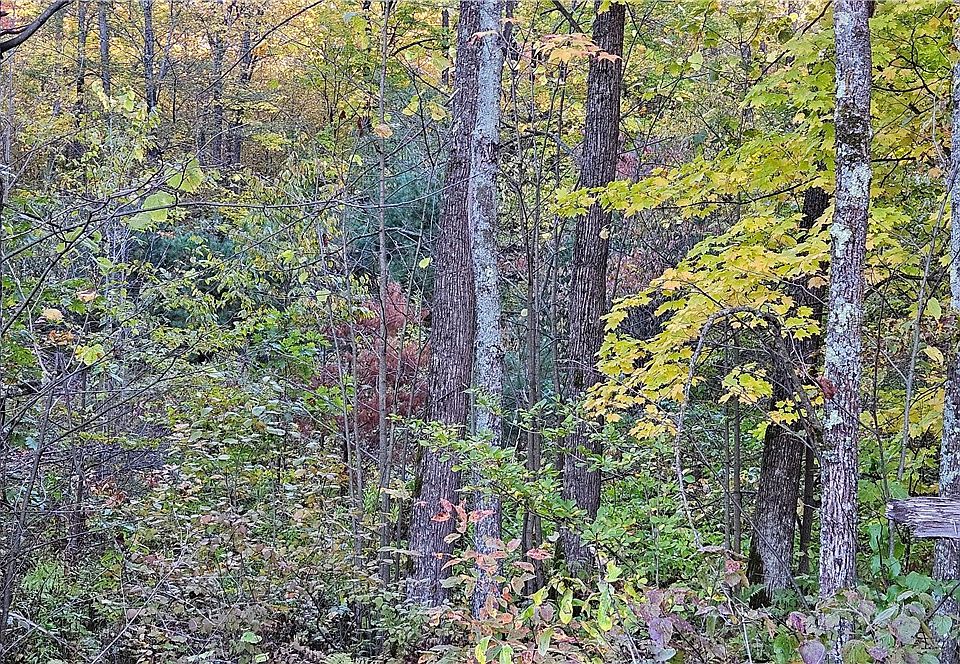 2nd image of Lot 1 Old 27 Road