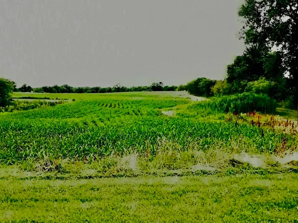 0 E 3009th Rd, Seneca, IL 61360