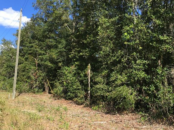 3rd image of NW Cr #141
