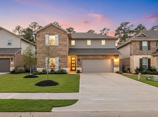 17929 Canopy Trace Ct, Montgomery, TX 77316