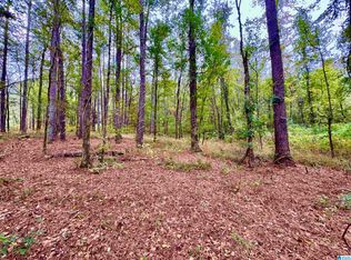 0 Highway 25, Columbiana, AL 35051
