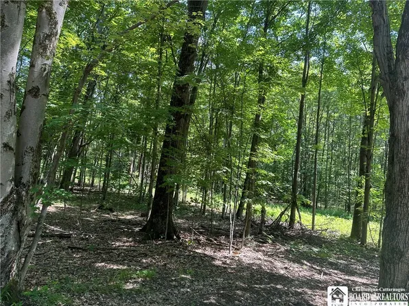 0 Snowball Hollow Rd, Scio, NY 14880