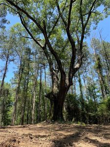 State Highway 38, Greensburg, LA, 70441