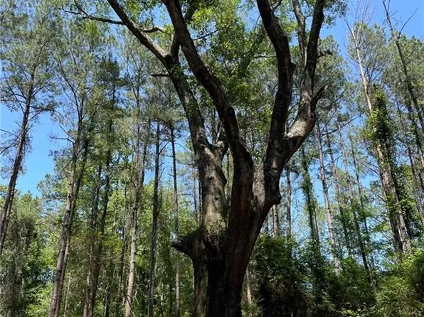 State Highway 38, Greensburg, LA 70441