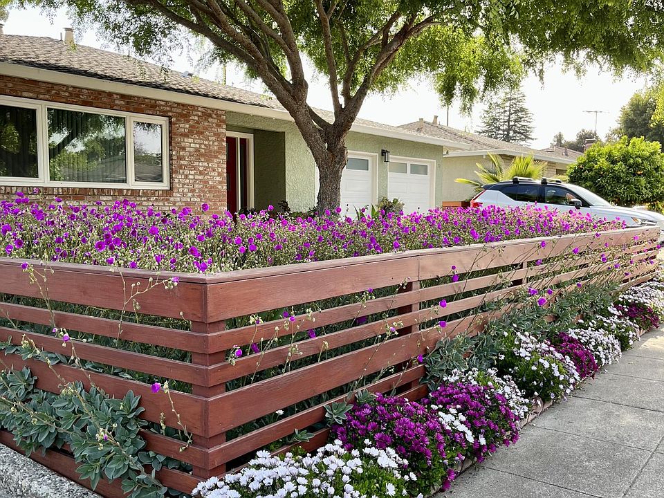 Front flowers in full bloom.