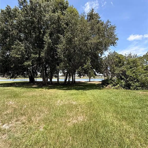 295 Cobalt Dr — Photo 19