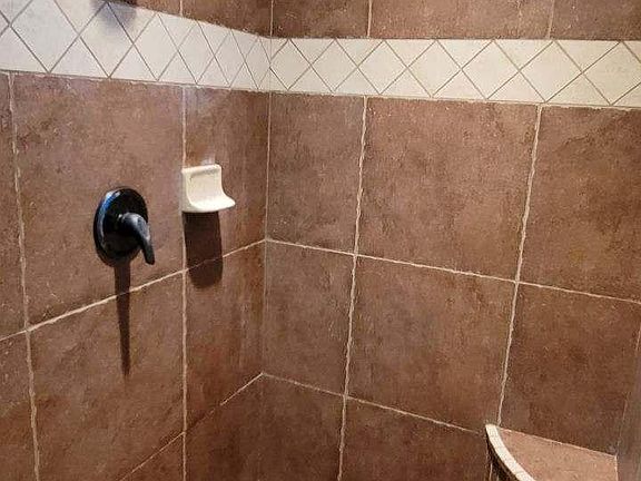 Master walk in shower