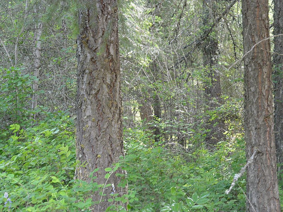 1st image of 2594F Flowery Trail Rd