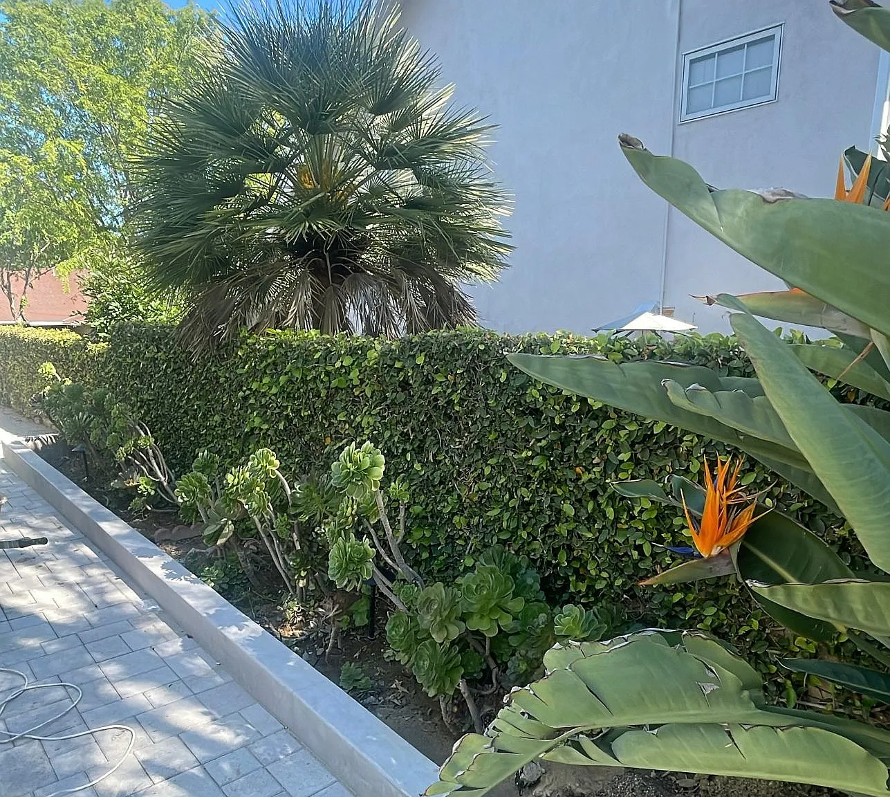 5055 Ludgate Dr — Photo 3