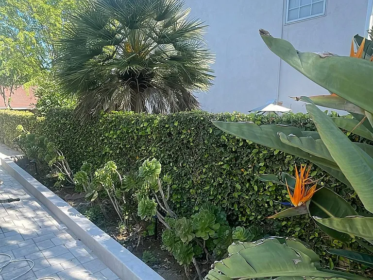 5055 Ludgate Dr — Photo 3
