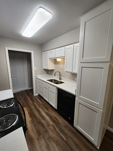 348 Spring Branch Ln Photo 1