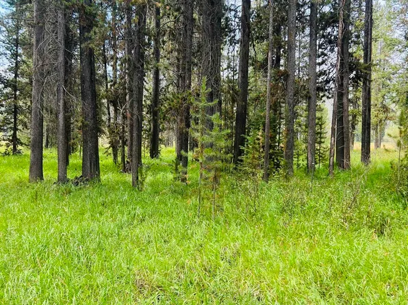 Lots 9&10 Warren Wagon Rd, Secesh, ID 83547