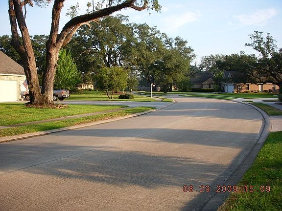 Tree lined street views
