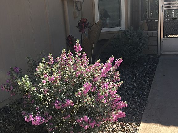 3rd image of 12627 W Blue Bonnet Dr