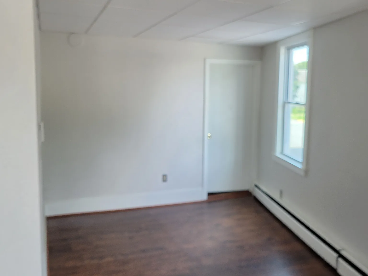 1 bed, 700 sqft, $1,250 — Photo 3