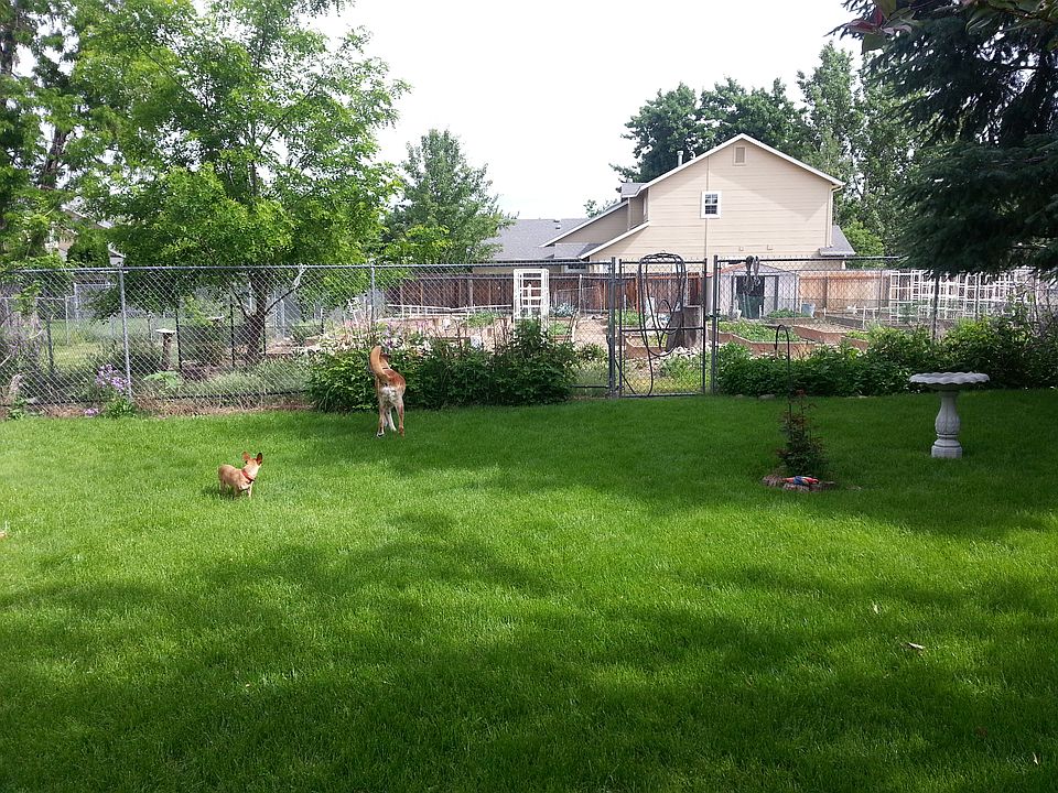 Back yard view Garden