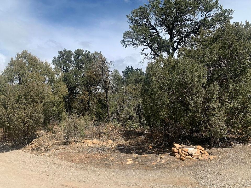 2nd image of 44 Tina Rd