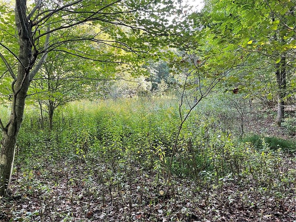1st image of 0 White Rd