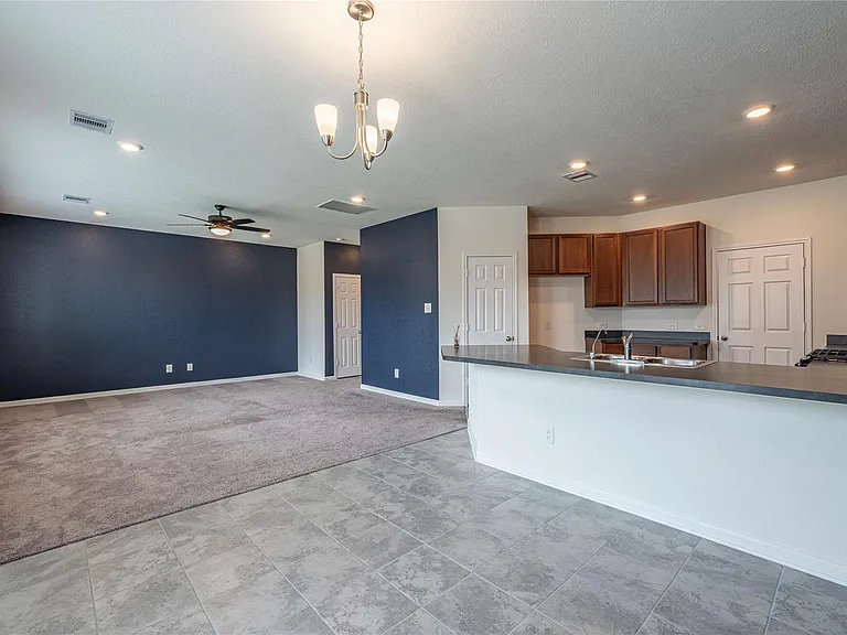 17214 Texas Willow Dr — Photo 21