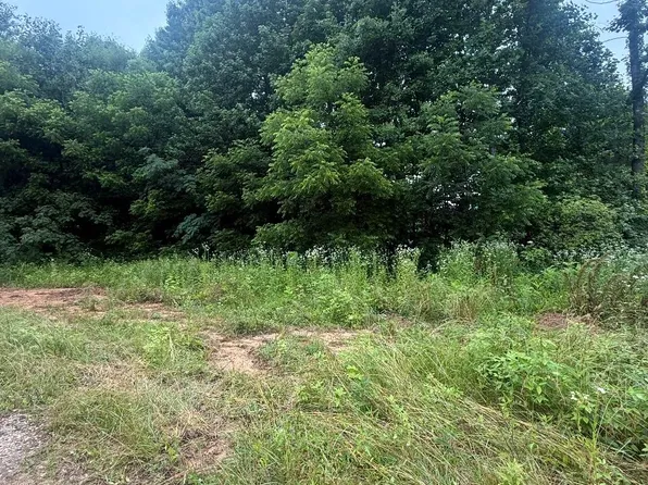 4611 Catons Grove Rd, Cosby, TN 37722