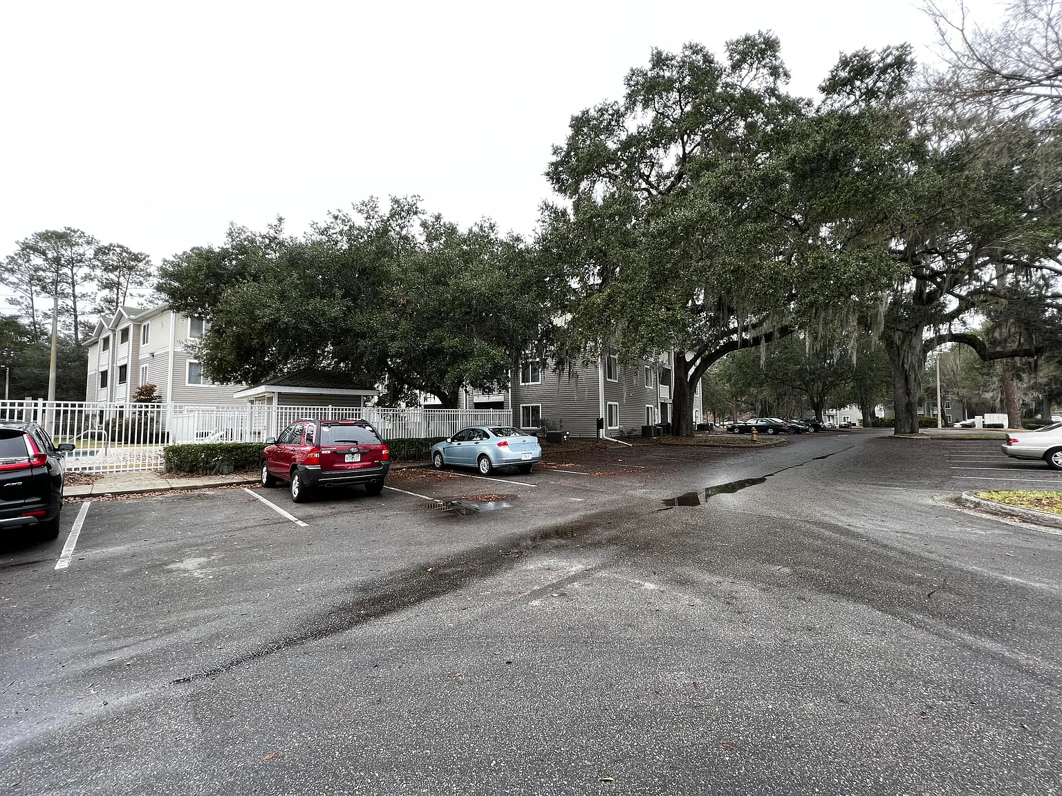 4 bed, 4.0 bath, 1177 sqft, $2,100 — Photo 4