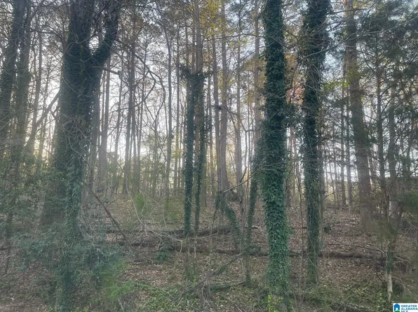 Tracy Ave #4, Jasper, AL 35504