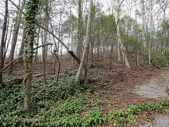2nd image of 16 Red Bud Ln Lot 16R