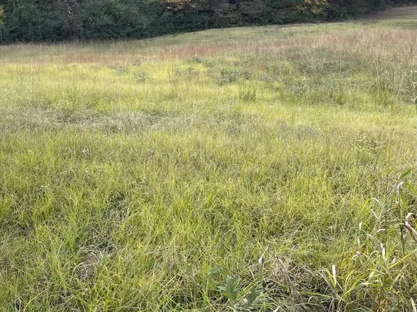 1101 Roberts Ln #3100152000003001, Bessemer, AL 35023