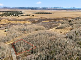 1097 High Creek Rd, Fairplay, CO 80440