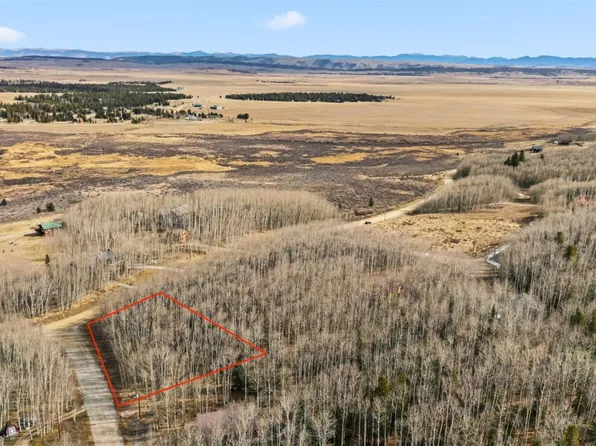 1097 High Creek Rd, Fairplay, CO 80440